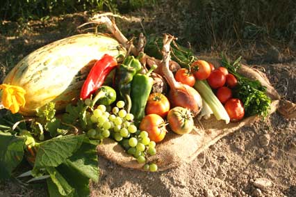 Las Hortlizas son una de las principales bases de la gastronomía orialeña