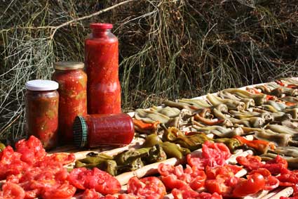 Zarzo de Pimientos y Tomate